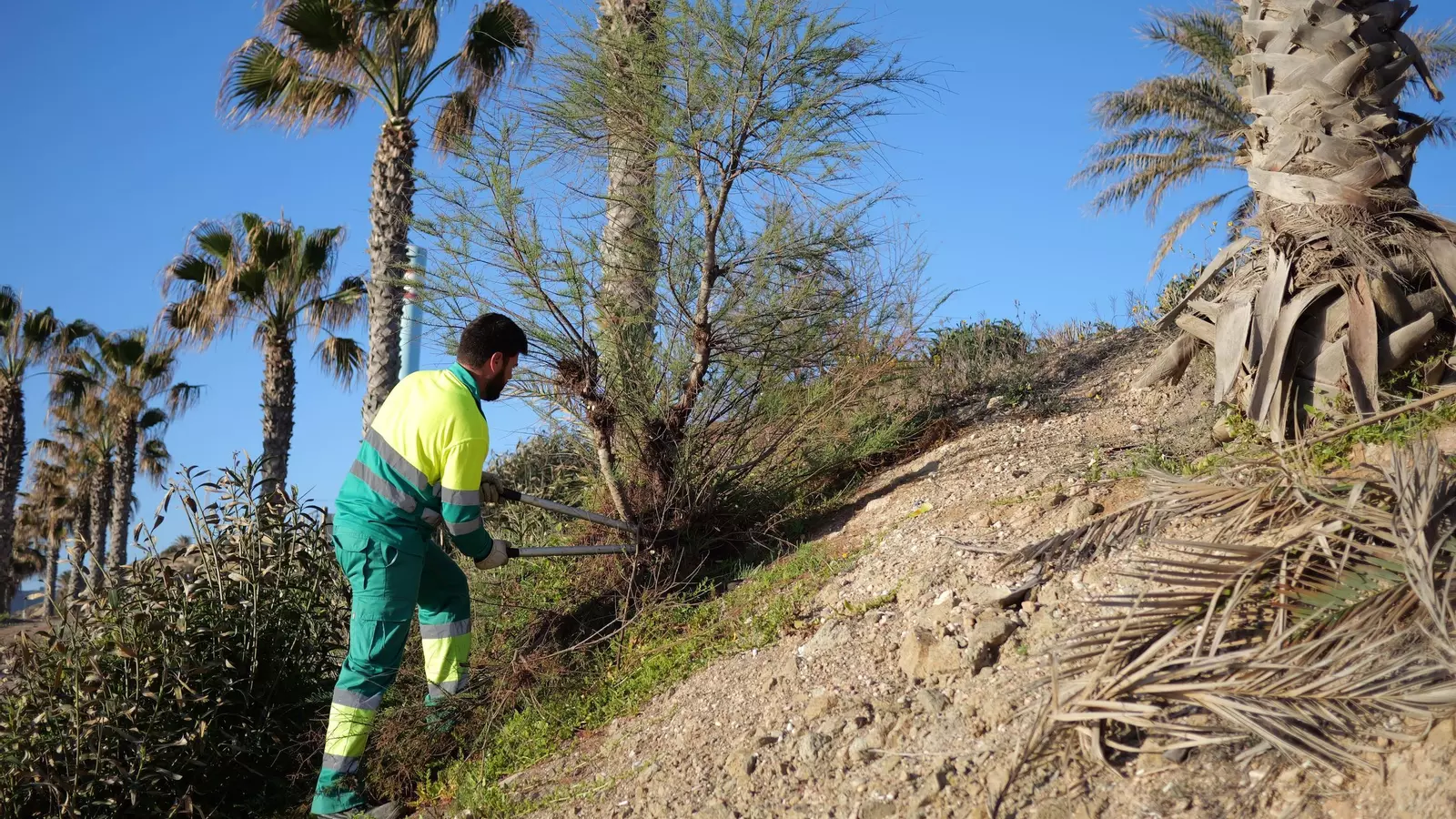 Trabajos de jardinería en Carboneras.