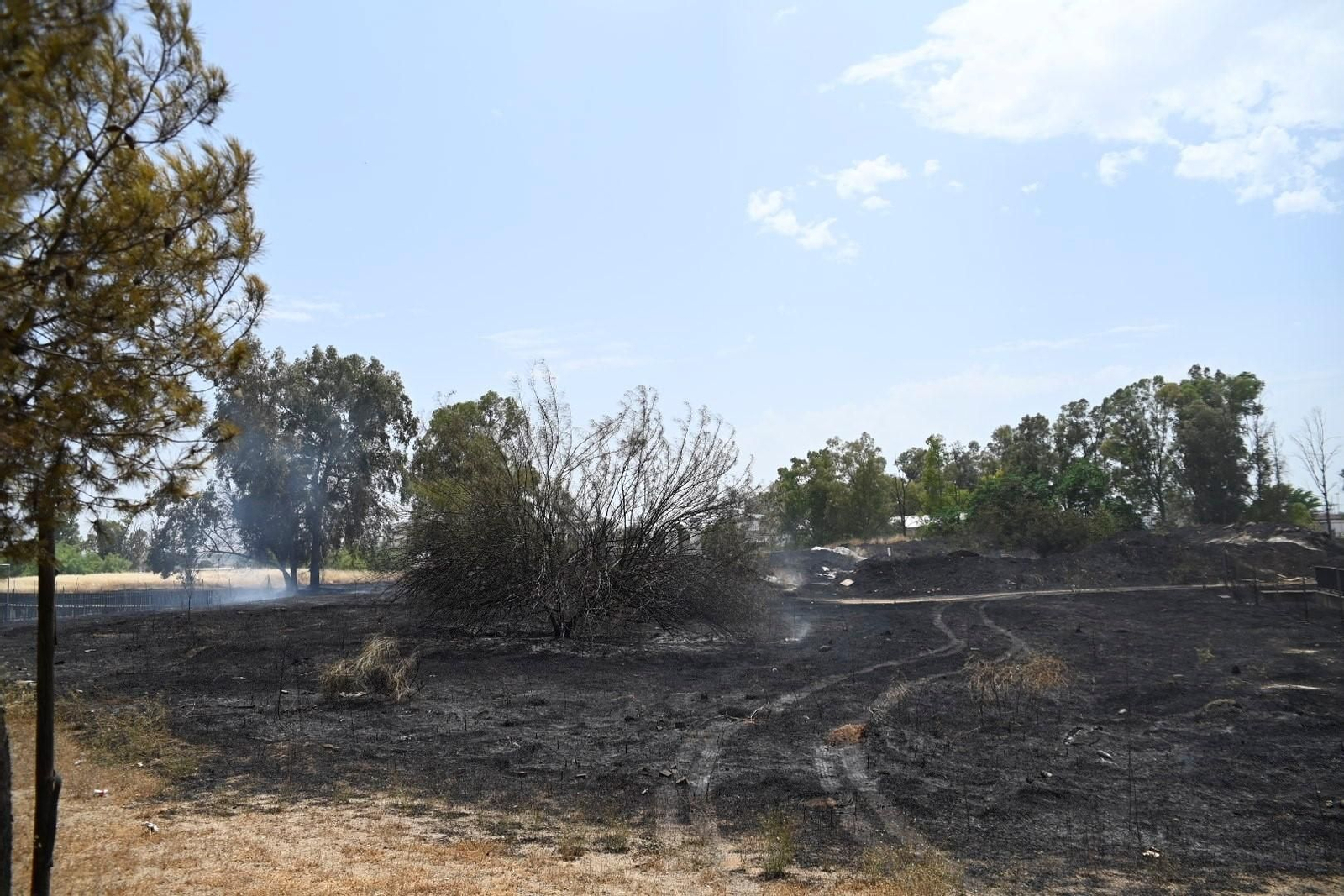 La zona calcinada por el incendio junto a la ronda Oeste, en imágenes