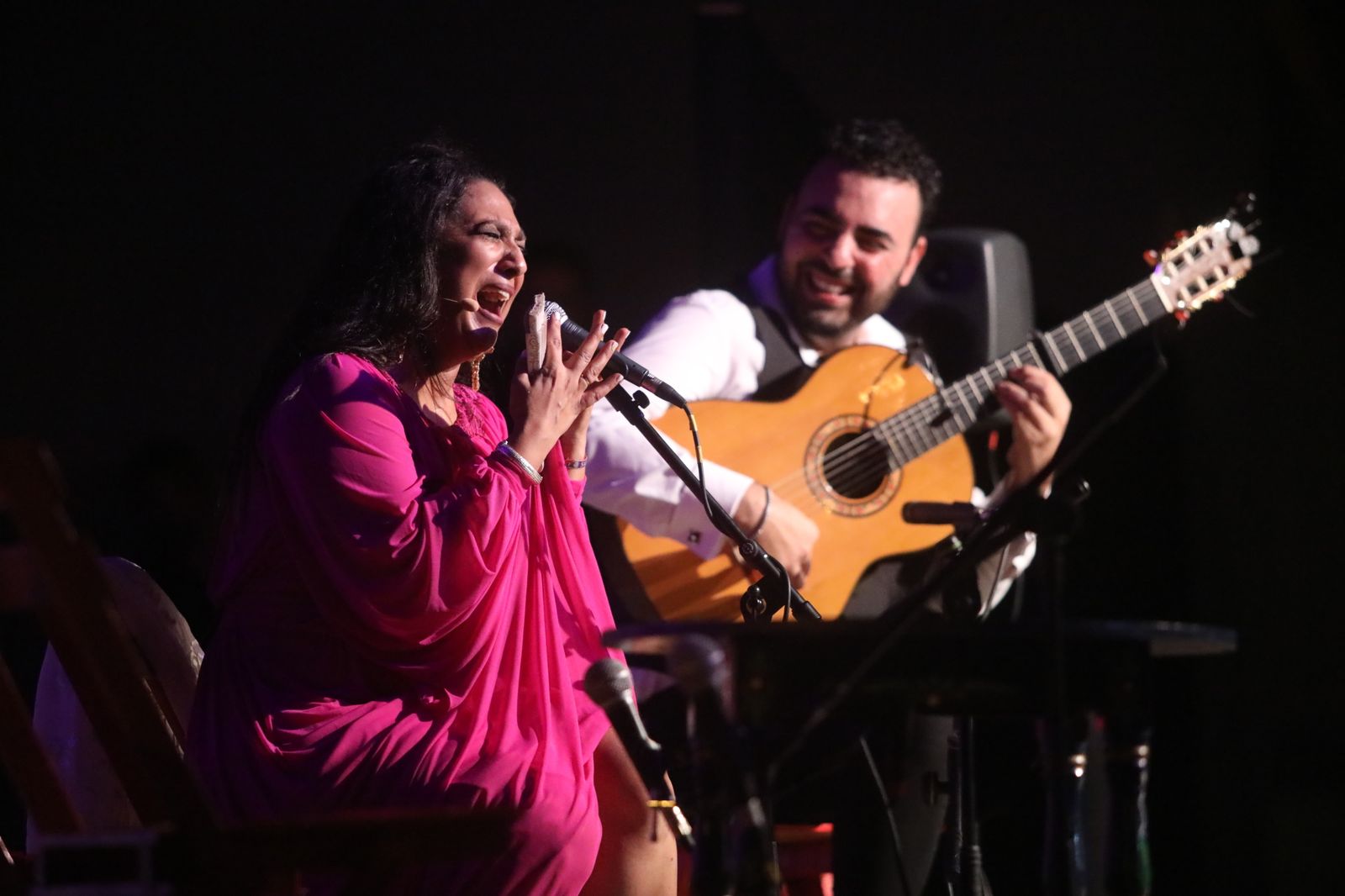 La noche flamenca en el Parque de San Fernando, en imágenes