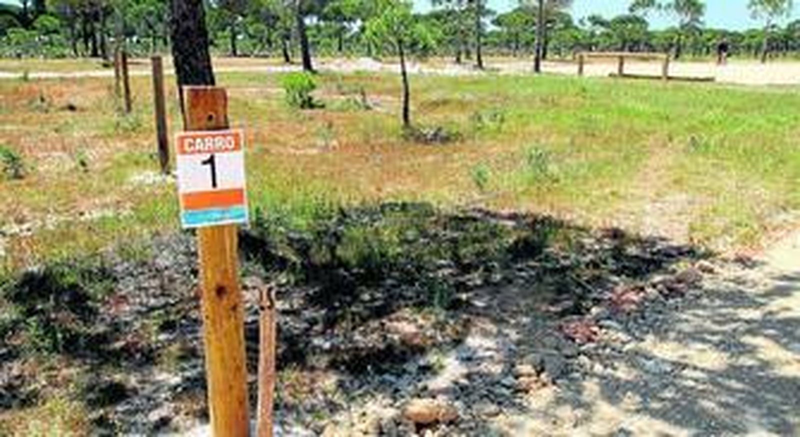 Las parcelas están divididas por estacas. Cada parcela tiene un número asignado.