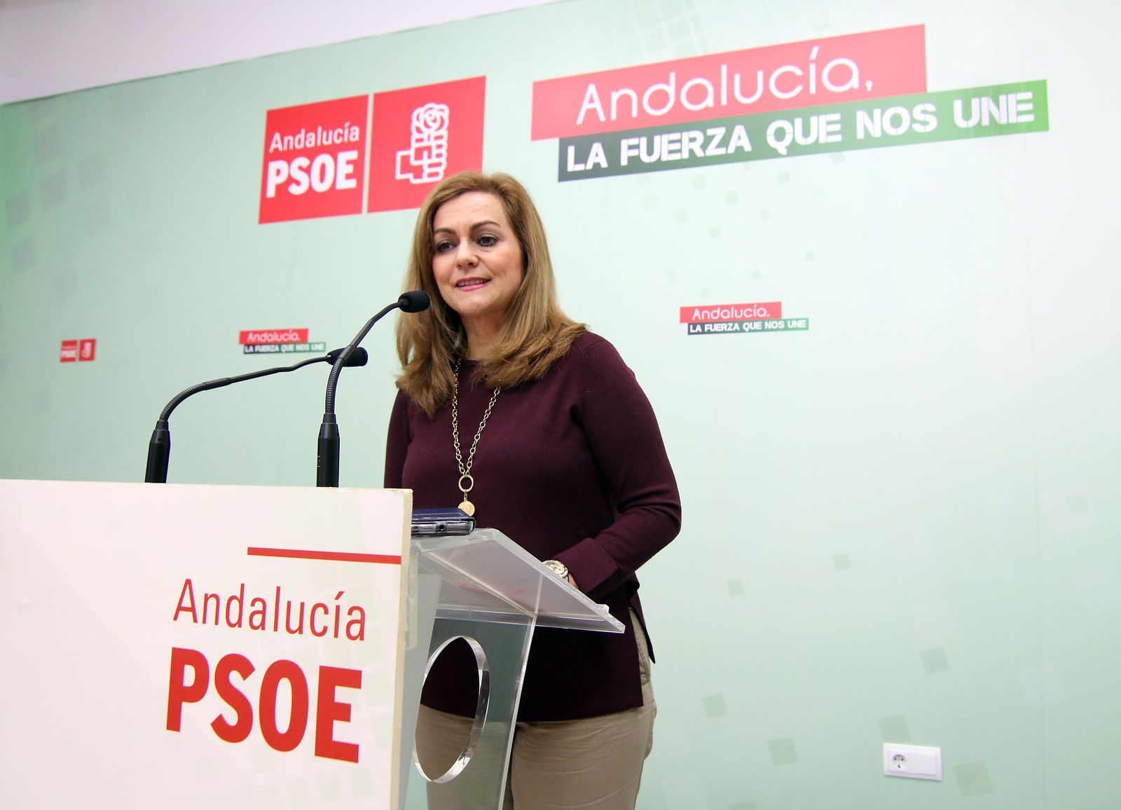 La diputada María Jesús Serrano, durante la comparecencia pública de ayer.