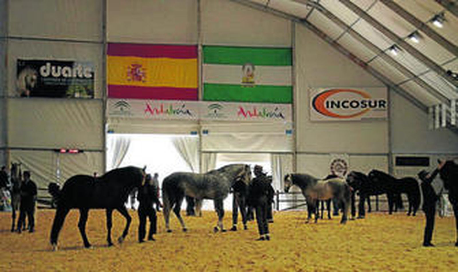 Varios de los caballos que participarán en el Sacab.