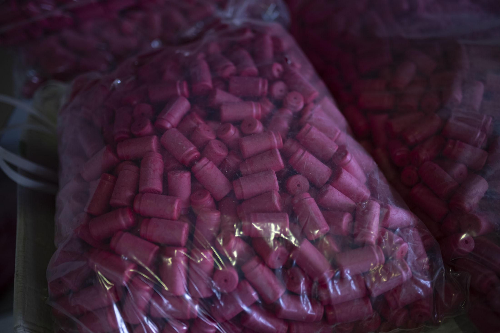 Imágenes de la vendimia en el Condado de Huelva