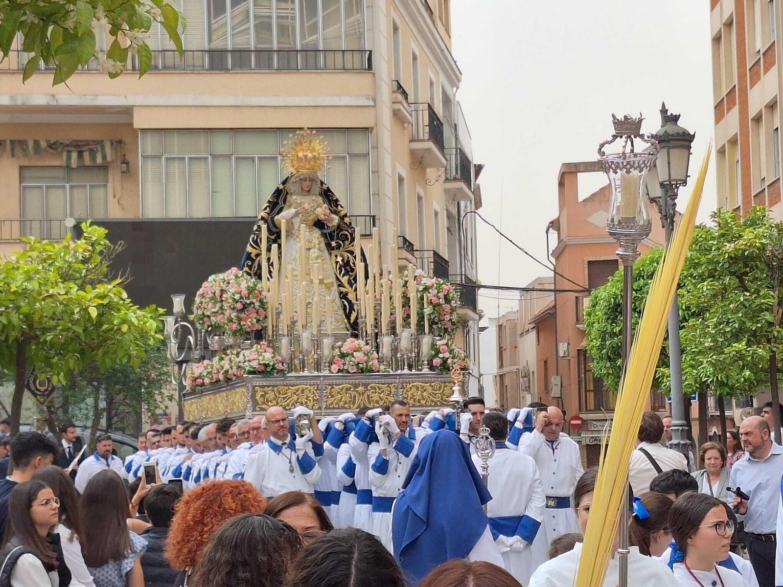 La procesión de la Borriquita de Puente Genil el Domingo de Ramos 2024, en imágenes