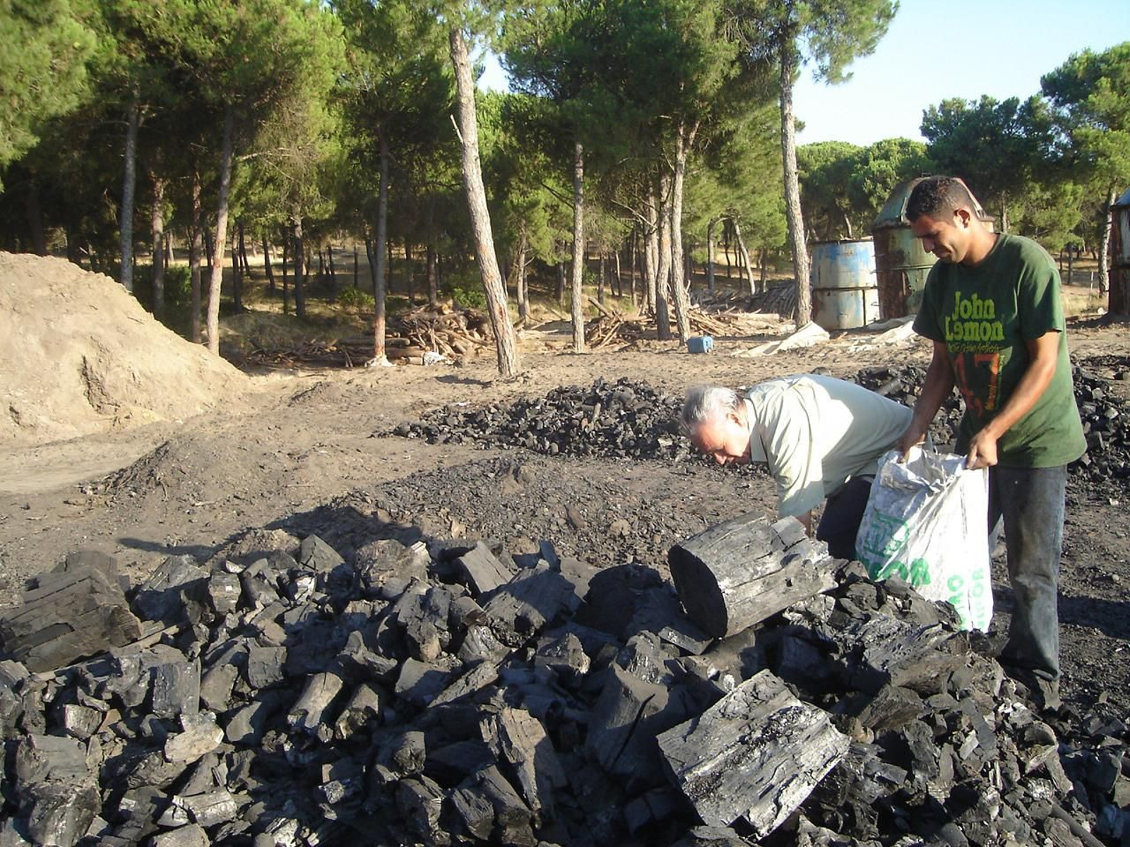 Llenado de sacos en lo que supone una de las últimas actividades de creación de carbón vegetal.