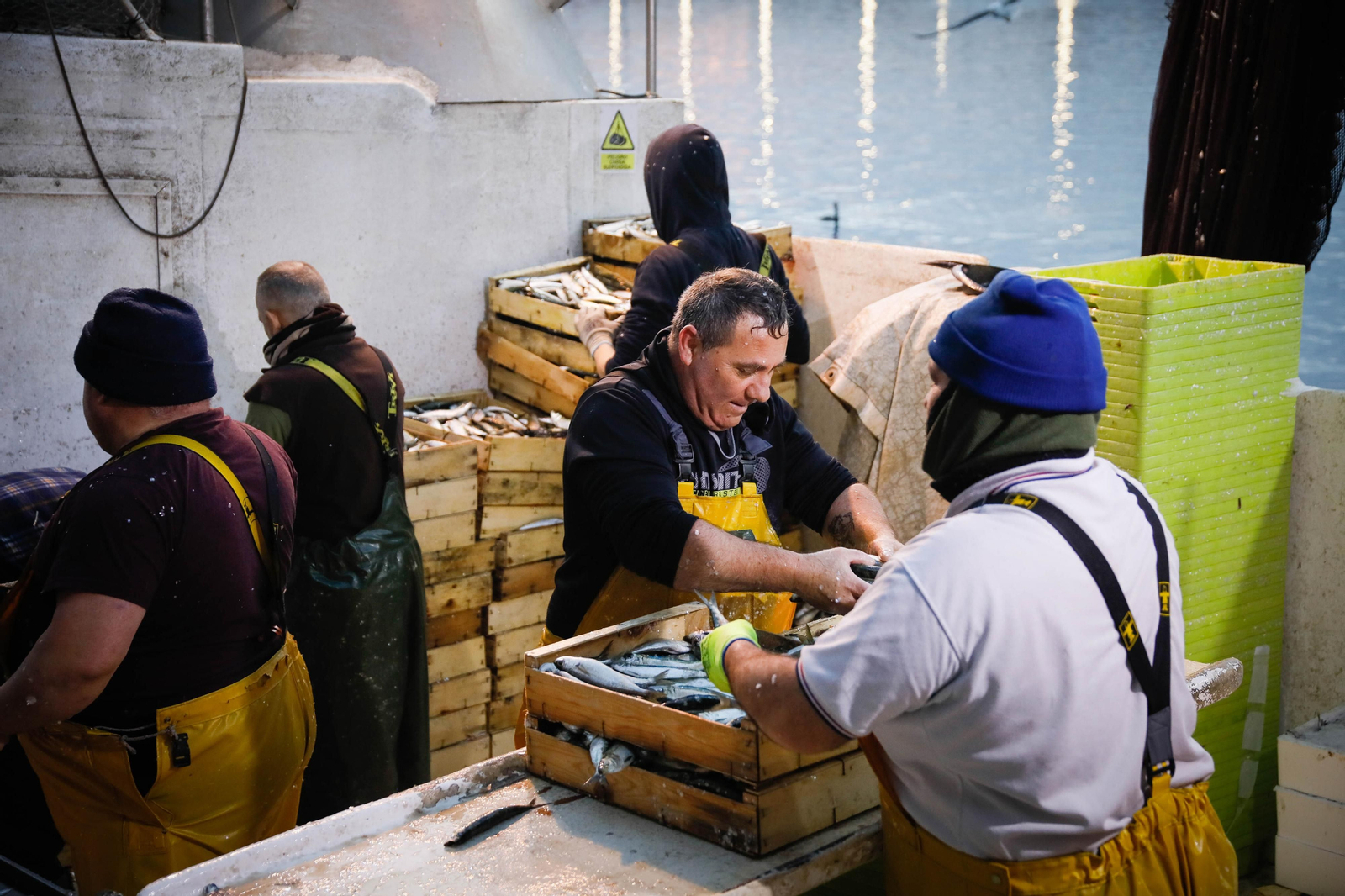 Te contamos en imágenes como ha sido la descarga de las traiñas en la lonja de Almería