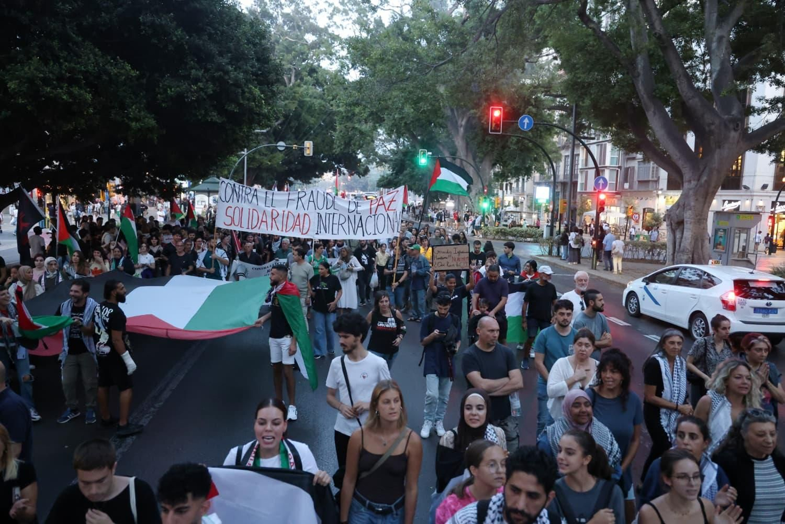 La manifestación por Palestina en Málaga, en imágenes