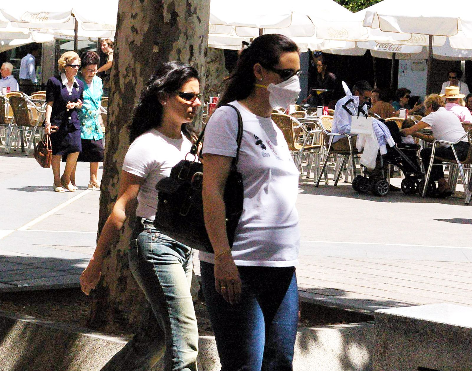 Más del 20% de la población sufre algún tipo de alergia.