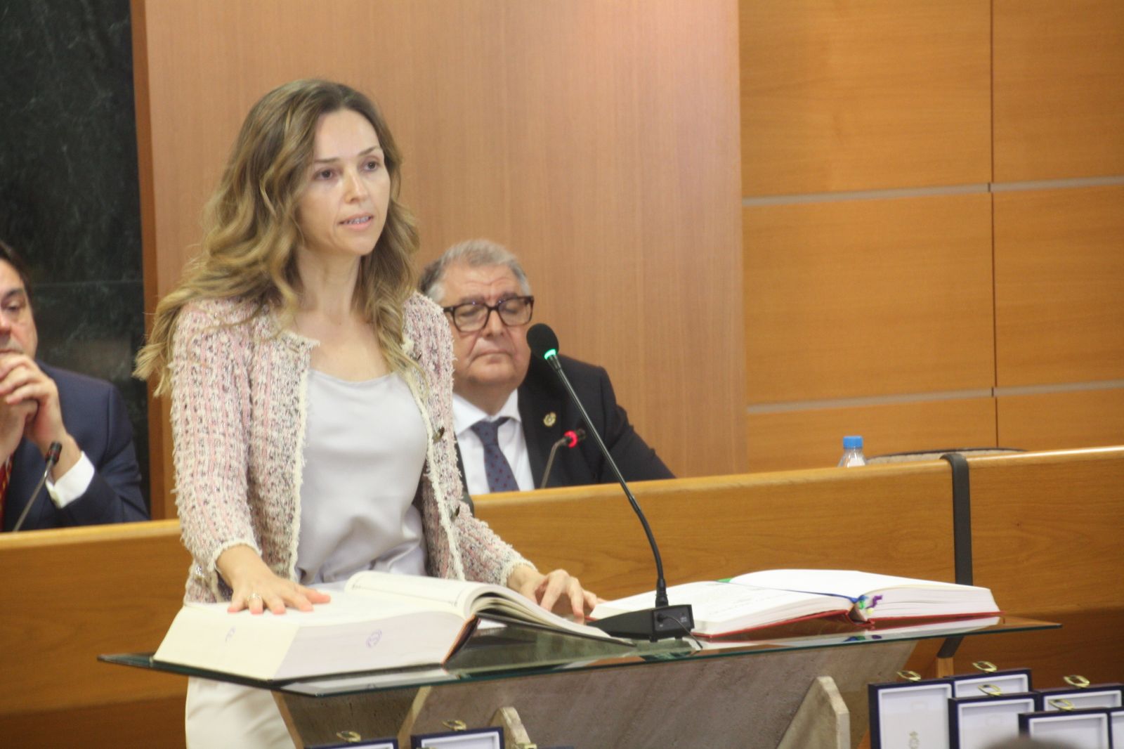 Sesión de constitución del Ayuntamiento de El Ejido