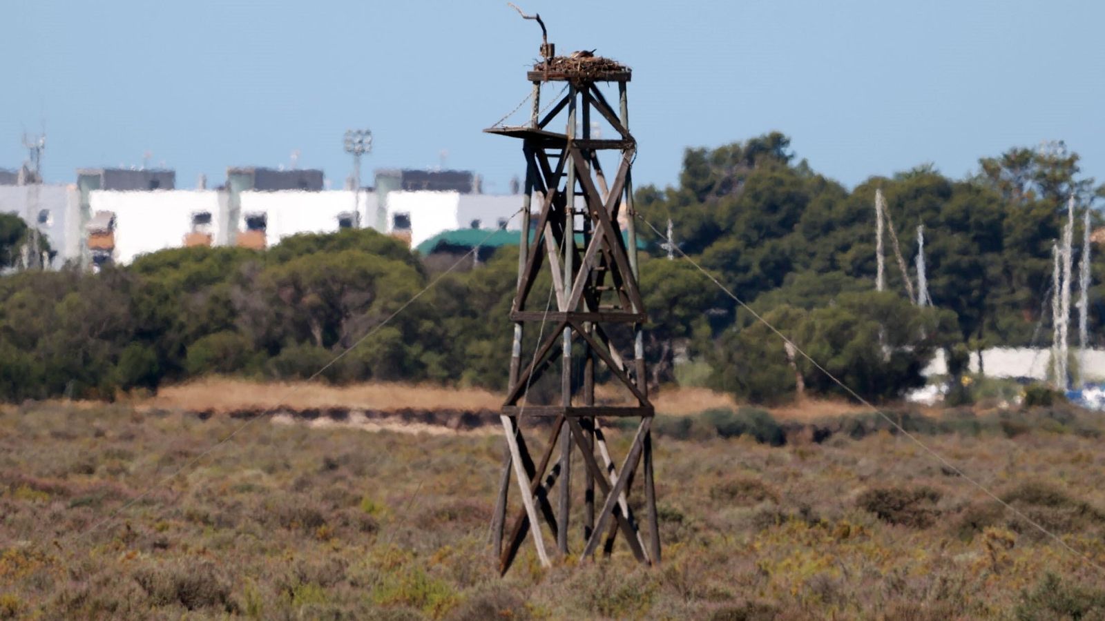 Torretas instaladas en Marismas del Odiel.