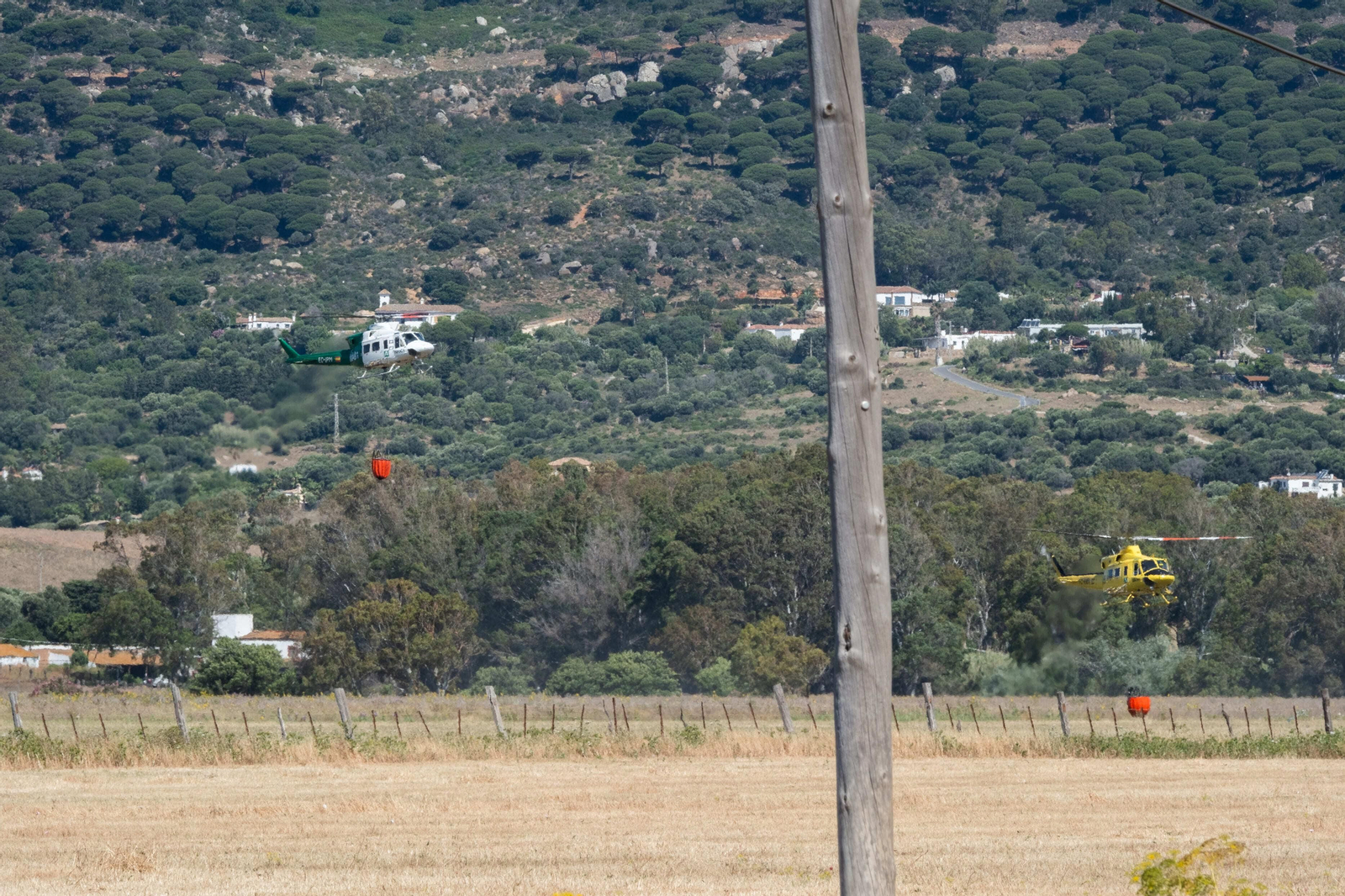 Los efectos del devastador incendio en el paraje monte de La Peña, en imágenes