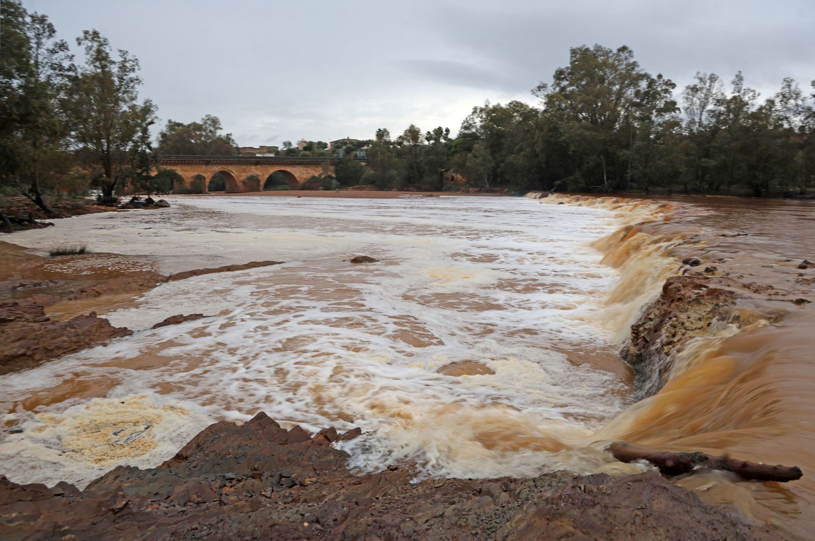 Las mejores imágenes del viernes 1 de noviembre en Huelva