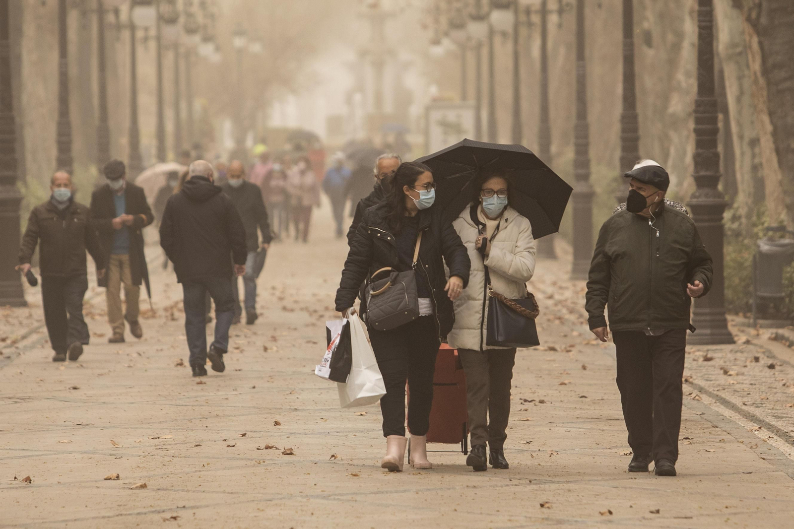 Granadinos con mascarilla por la Carrera de la Virgen.