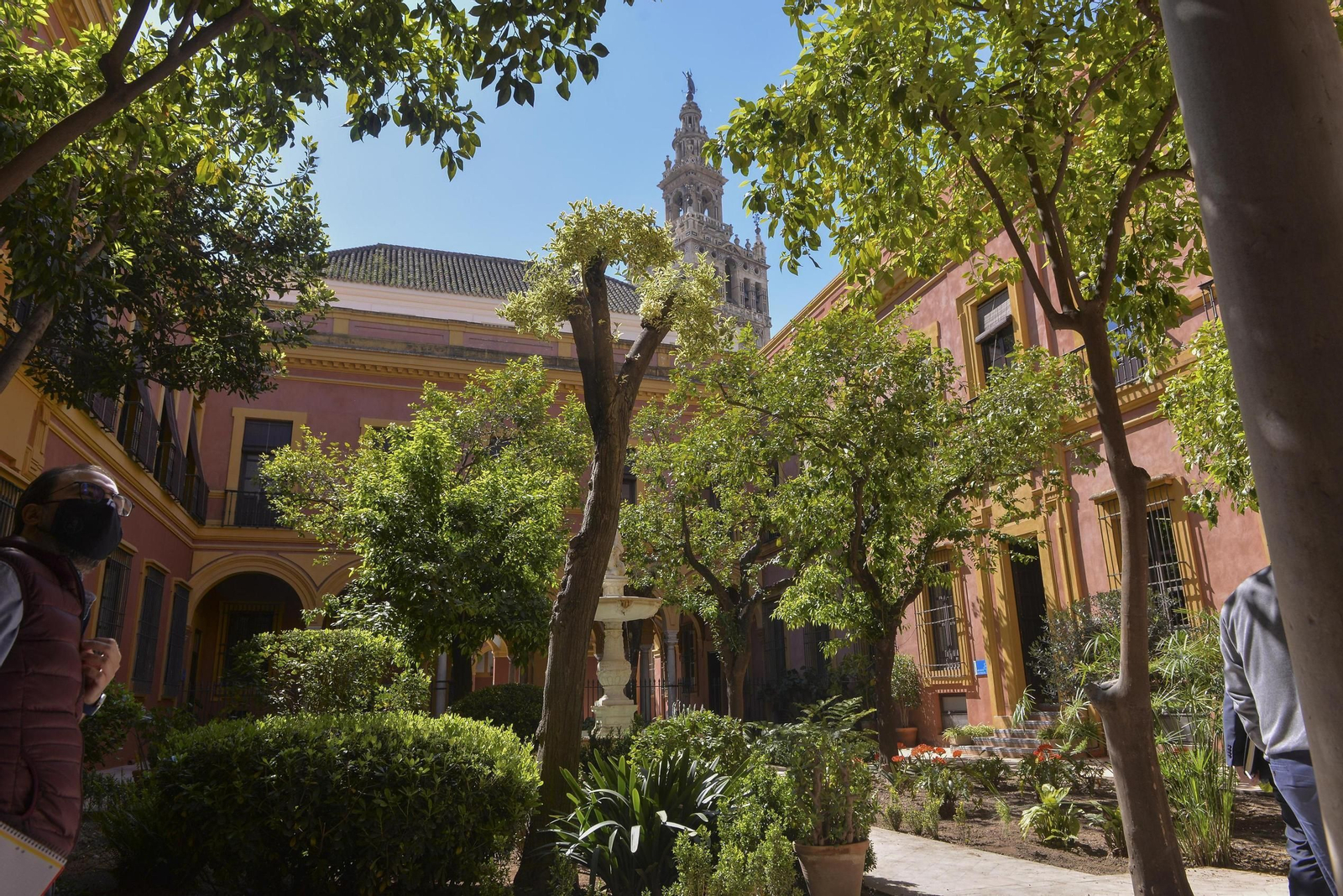 Vista de la Giralda desde el bellísimo segundo patio del Palacio Arzobispal de Sevilla.
