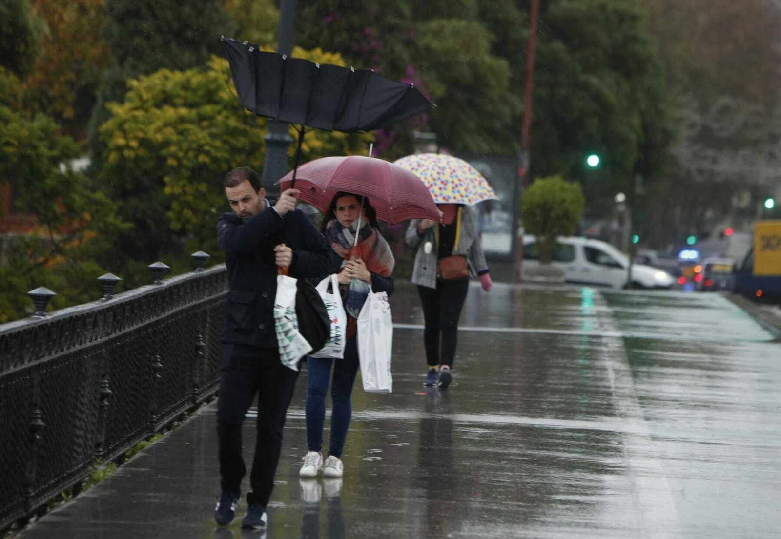 Las fuertes rachas de viento han provocado varias incidencias en Sevilla.