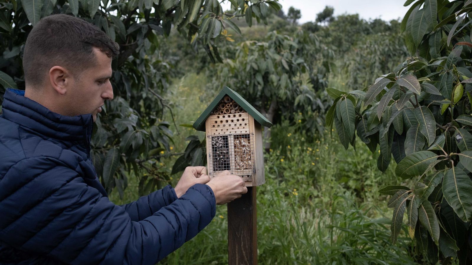 Trops cuenta con un centro de innovación para la mejora del manejo de los cultivos y su sostenibilidad.