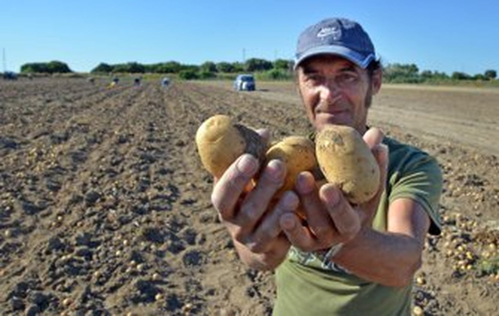 En El Torno se regalan 'papas'