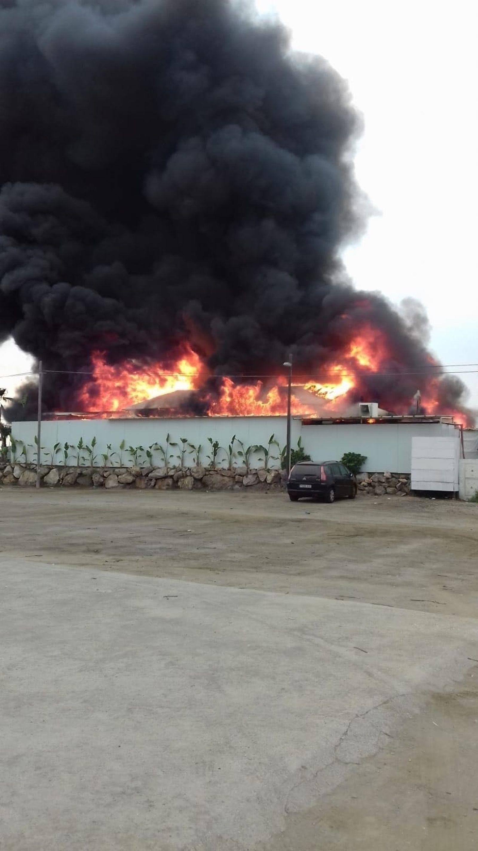 Las llamas que calcinaron el establecimiento.