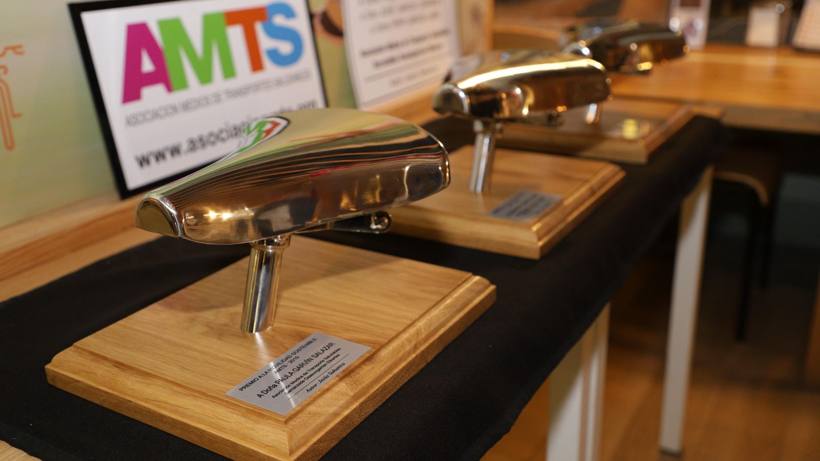 Detalle del premio: un sillín clásico de bicicleta en acero inoxidable y en tamaño real.