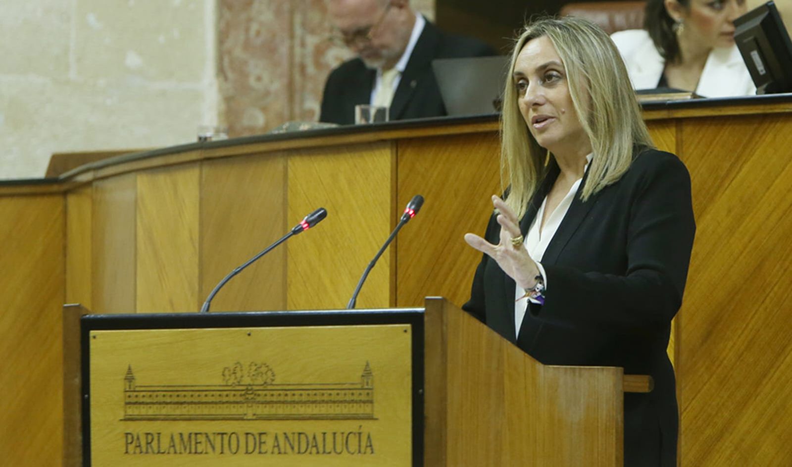 Carazo exige al Estado que impulse el proyecto para conectar por tren el Puerto de Motril