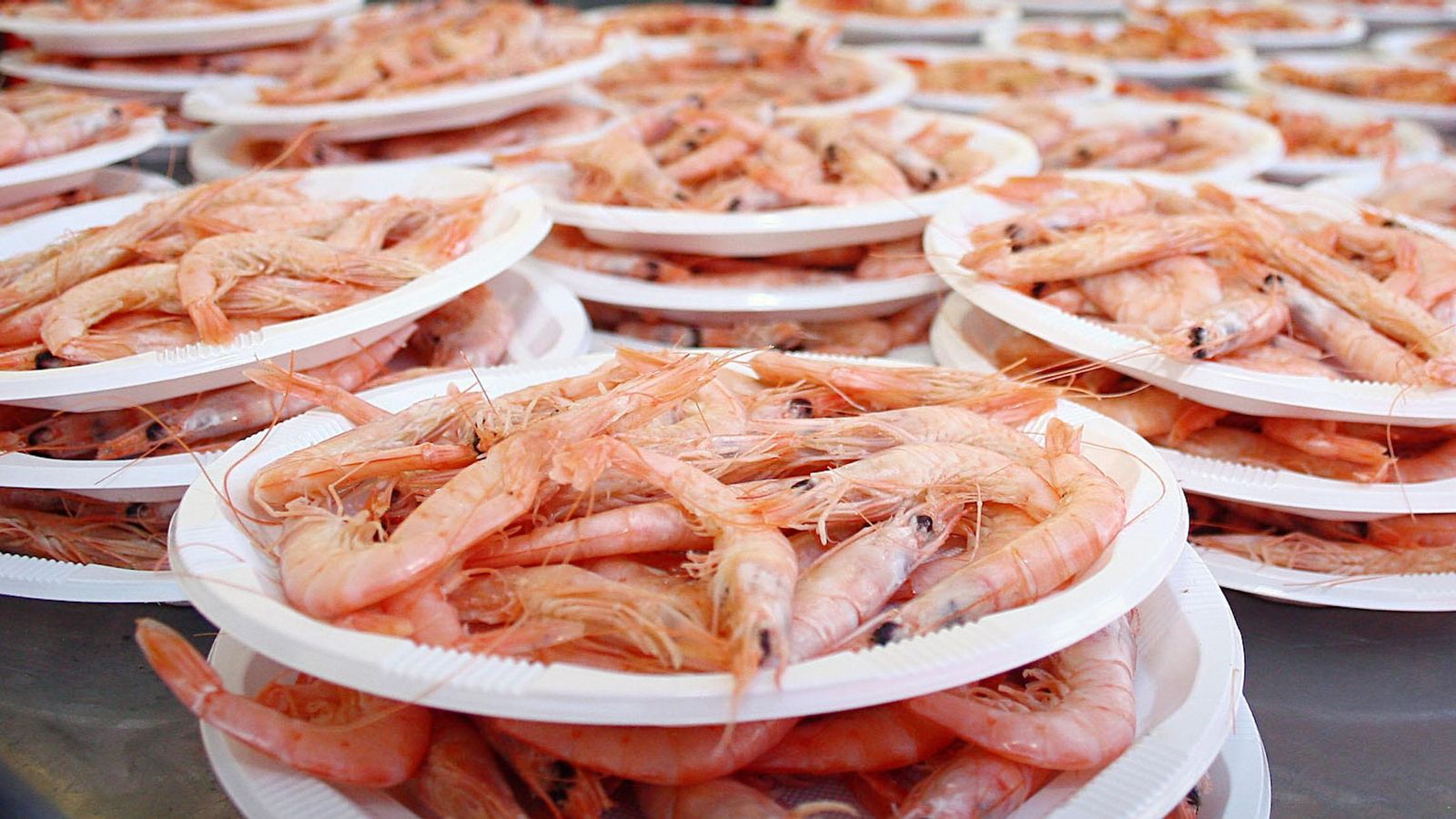 La gamba blanca de Huelva, la joya del mar de Huelva y de toda España