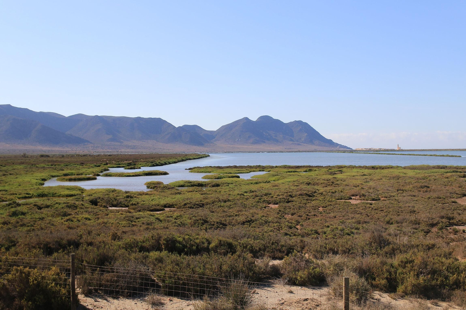 Las imágenes de las Salinas de Cabo de Gata recuperadas y con flamencos