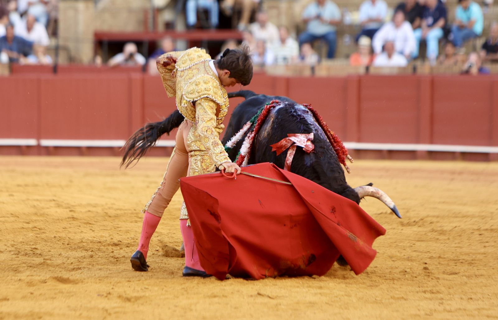 Novillada El Melli, Aarón Palacios y Manuel Jesús  Carrión