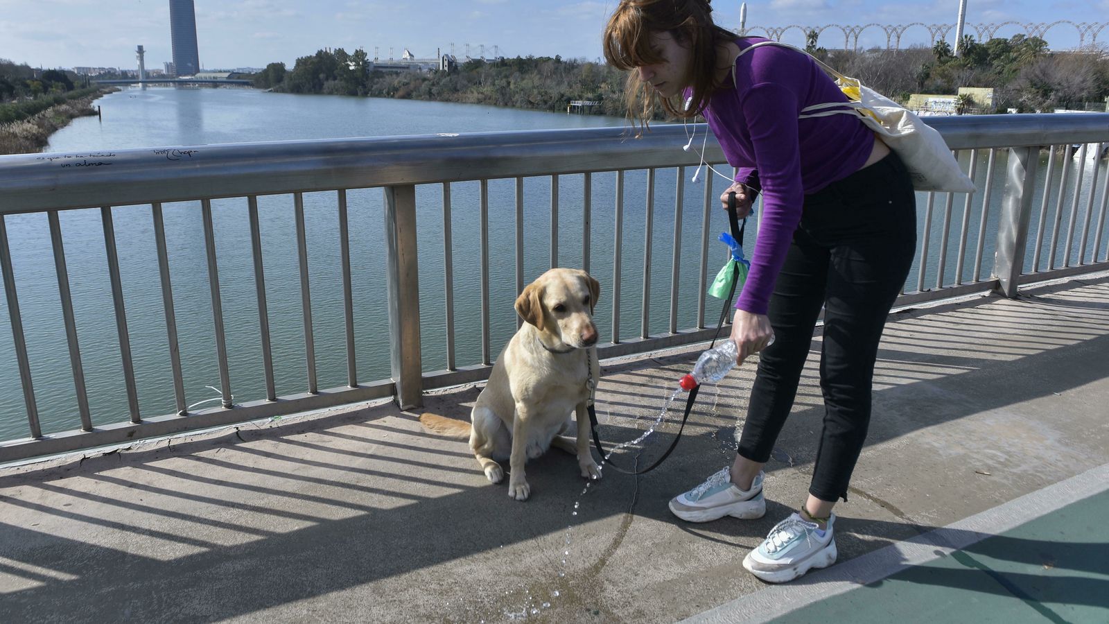 Una joven limpia la orina de su perro en el Puente de la Barqueta.
