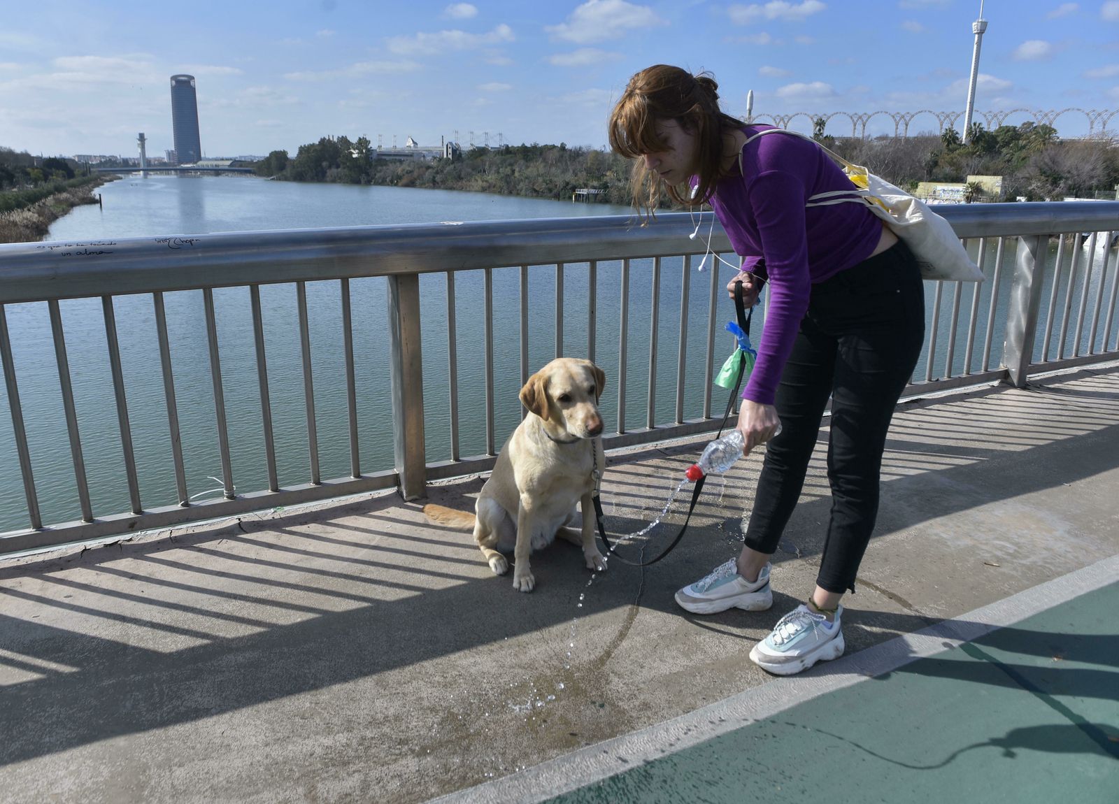 Una joven limpia la orina de su perro en el Puente de la Barqueta.