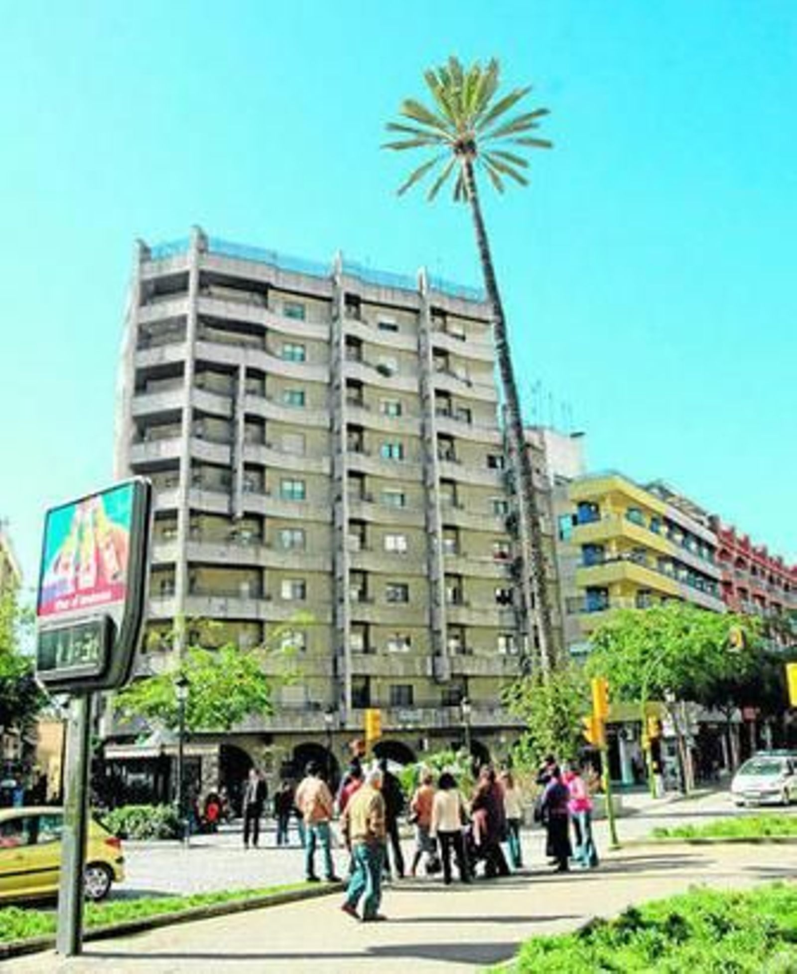 Triste adiós a la palmera más famosa de Huelva: Imágenes de sus 130 años de historia