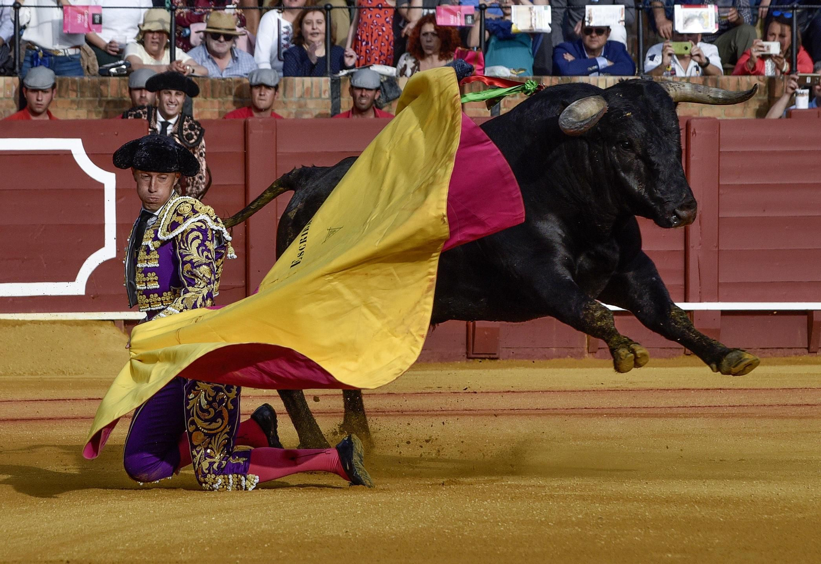 Las imágenes de la 14ª de abono de la Maestranza