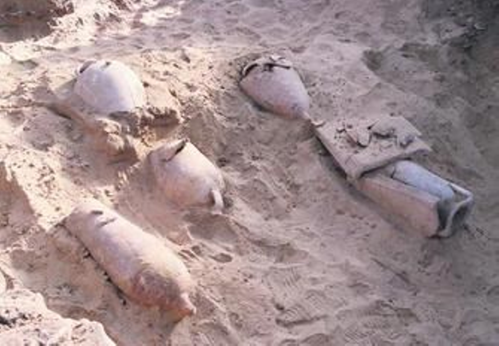 Enterramientos en ánforas, en las excavaciones de 1993.