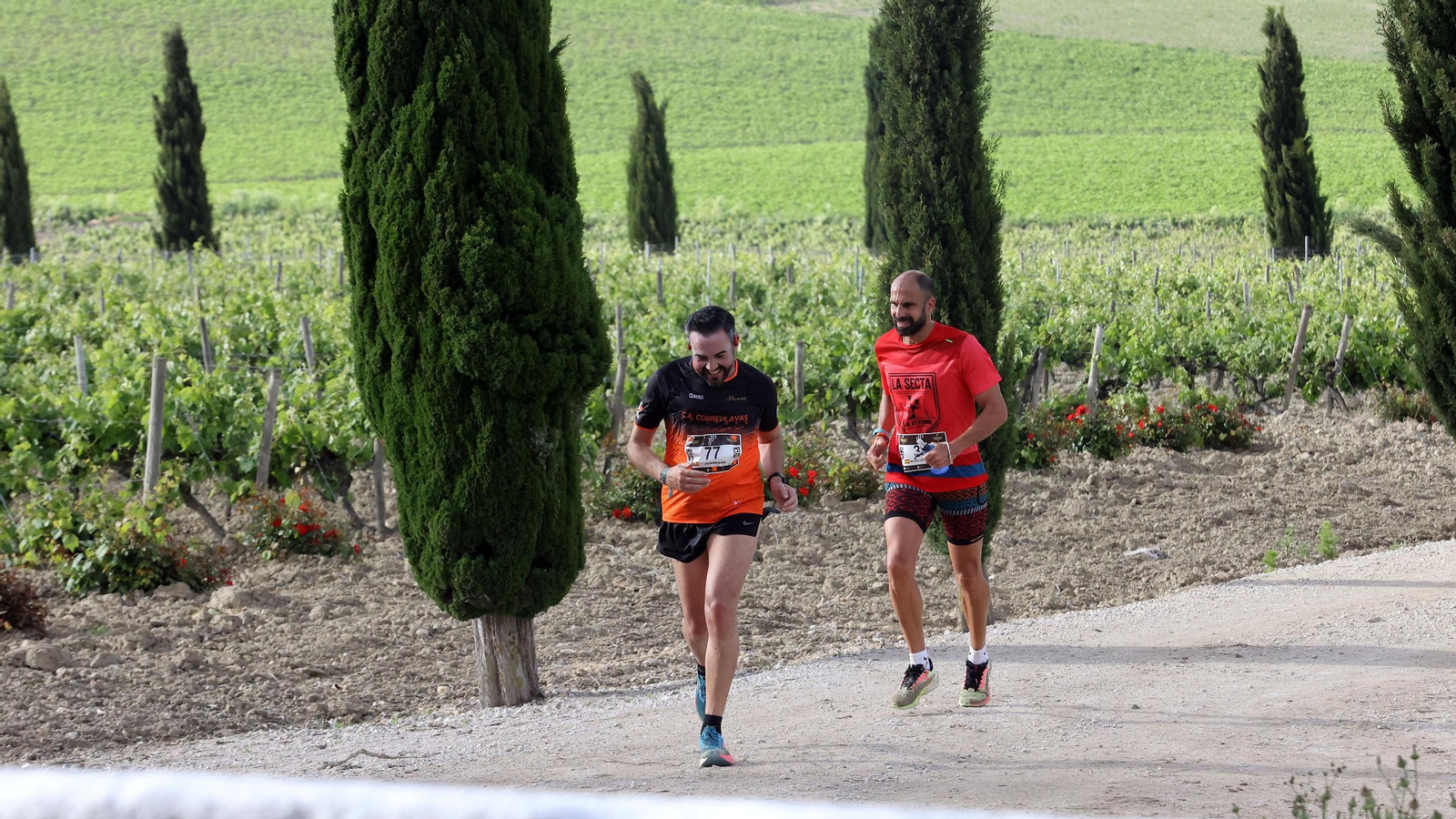 Búscate en la Sherry Maratón 2025 de Jerez (I)
