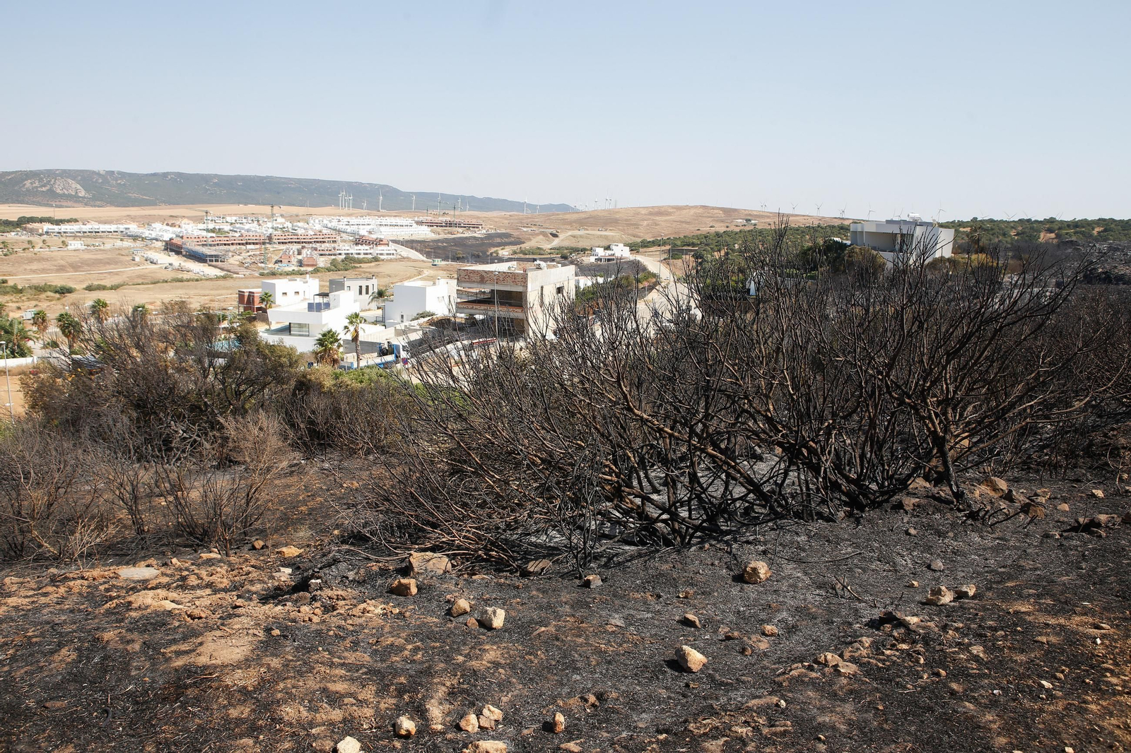 Las fotos de los efectos del incendio forestal en la Sierra de la Plata y Atlanterra, en Tarifa