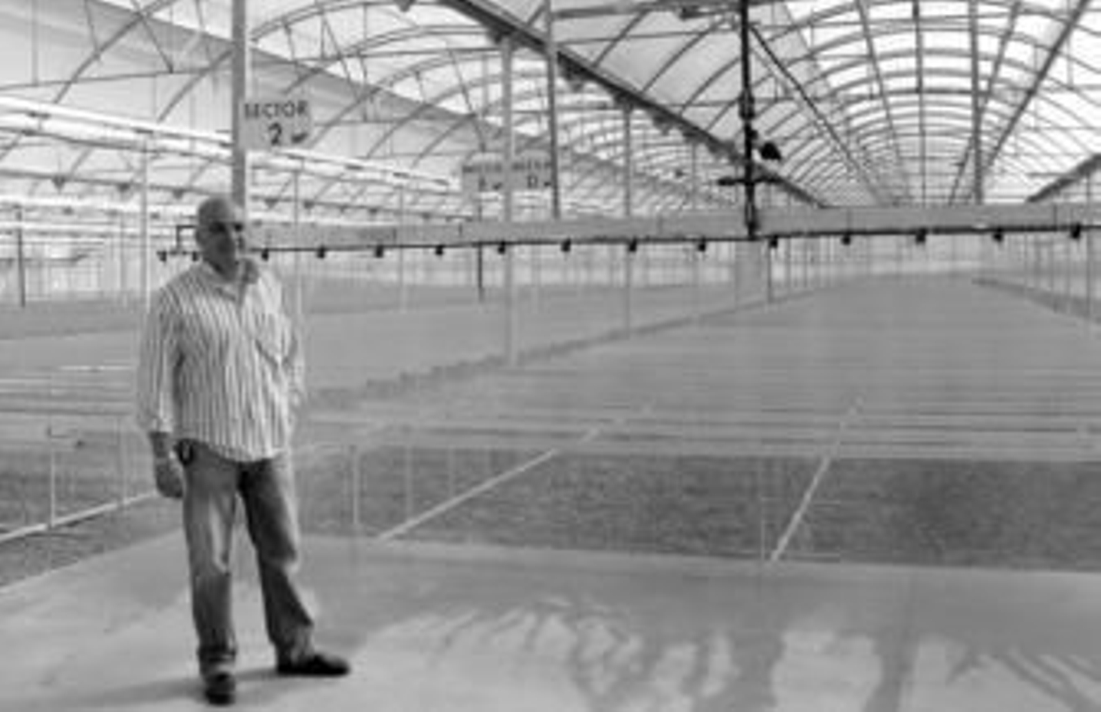 Manuel Escudero, gerente de la empresa almeriense El Plantel Semilleros, horas antes de la inauguración de la tercera delegación, en Dalías.