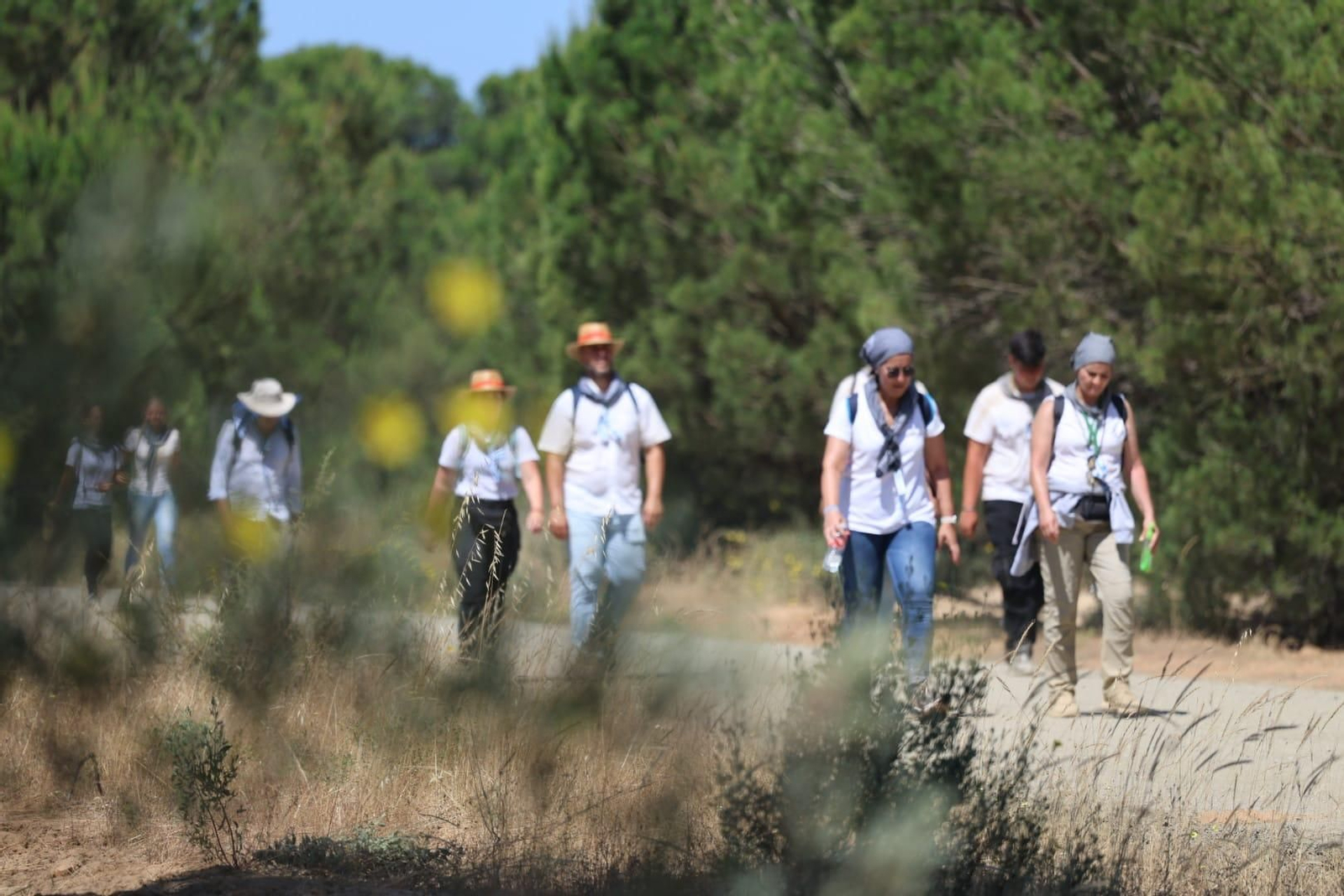 Ambientazo en el camino de Huelva al Rocío este viernes: imágenes de los peregrinos en La Matilla