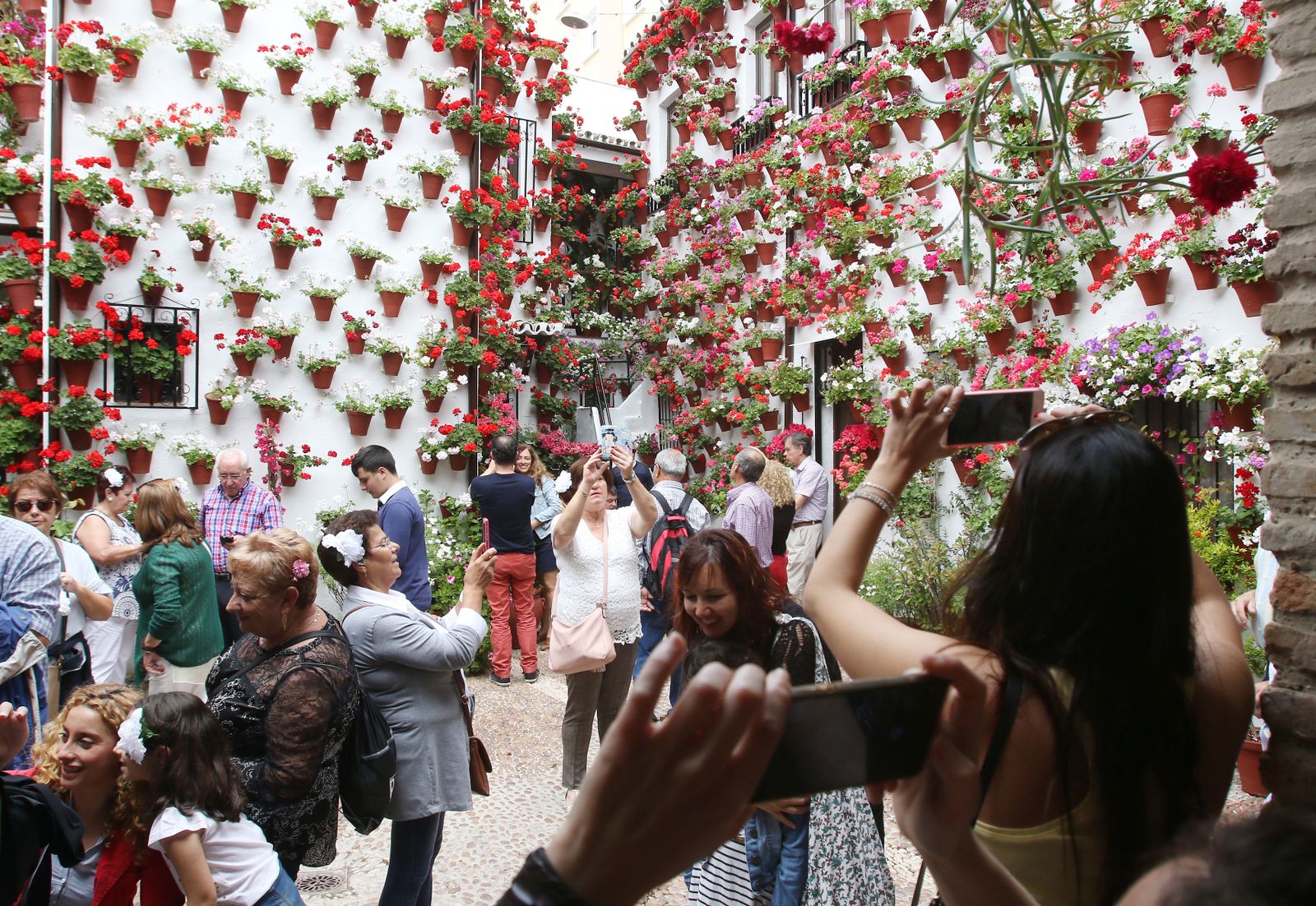 Ambiente en los patios ganadores de 2017