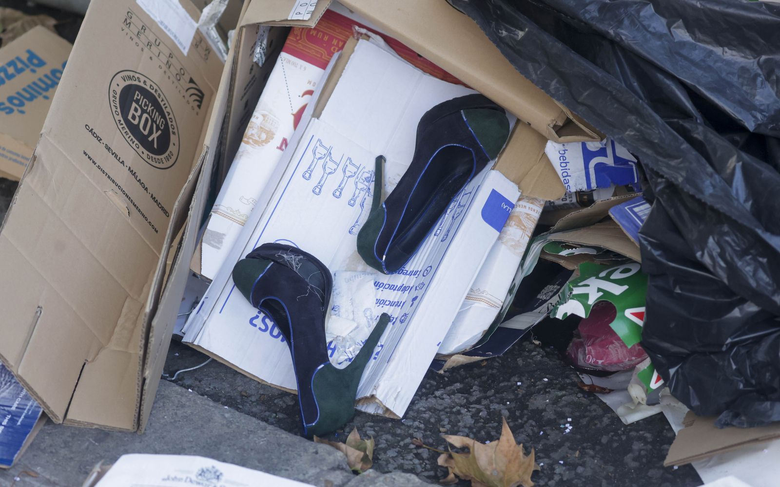 Primeras imágenes del Año Nuevo