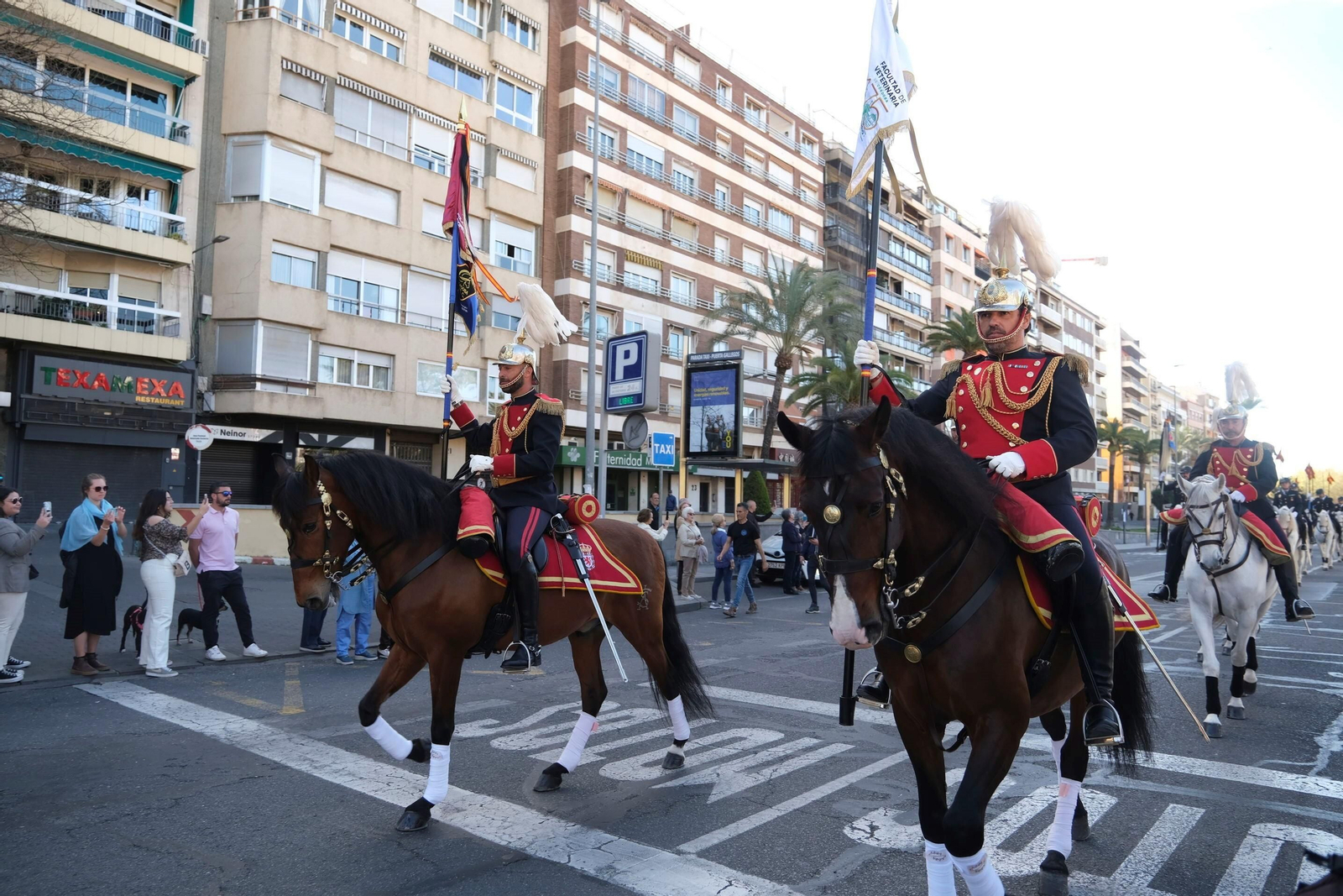 El desfile ecuestre con motivo de los 175 años de la Facultad de Veterinaria de Córdoba, en imágenes