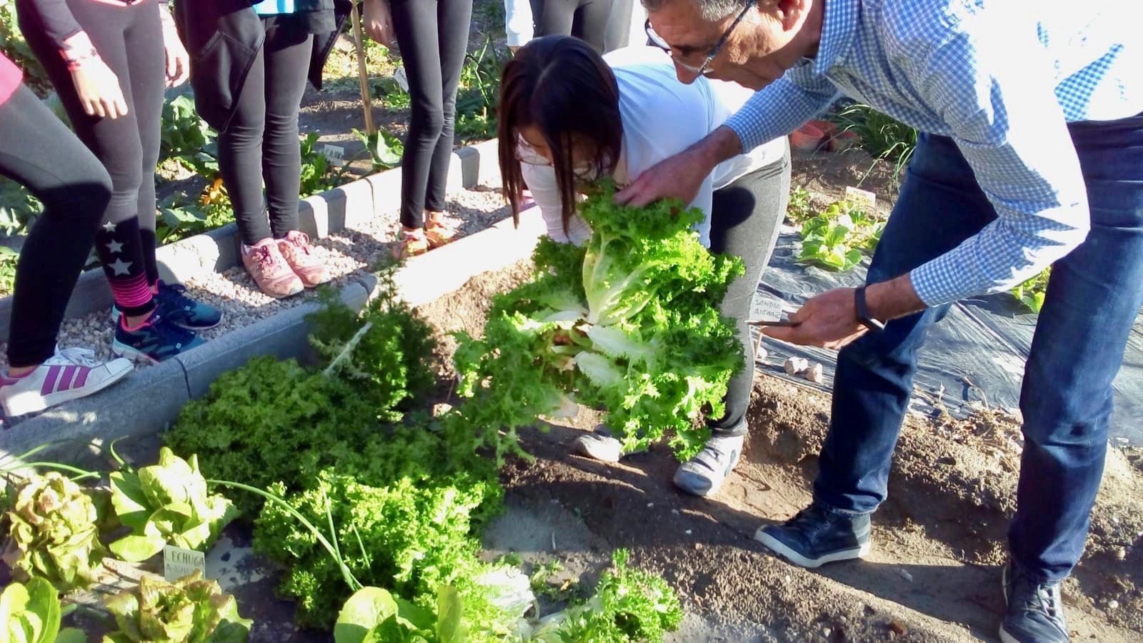 Una de las iniciativas de este proyecto.