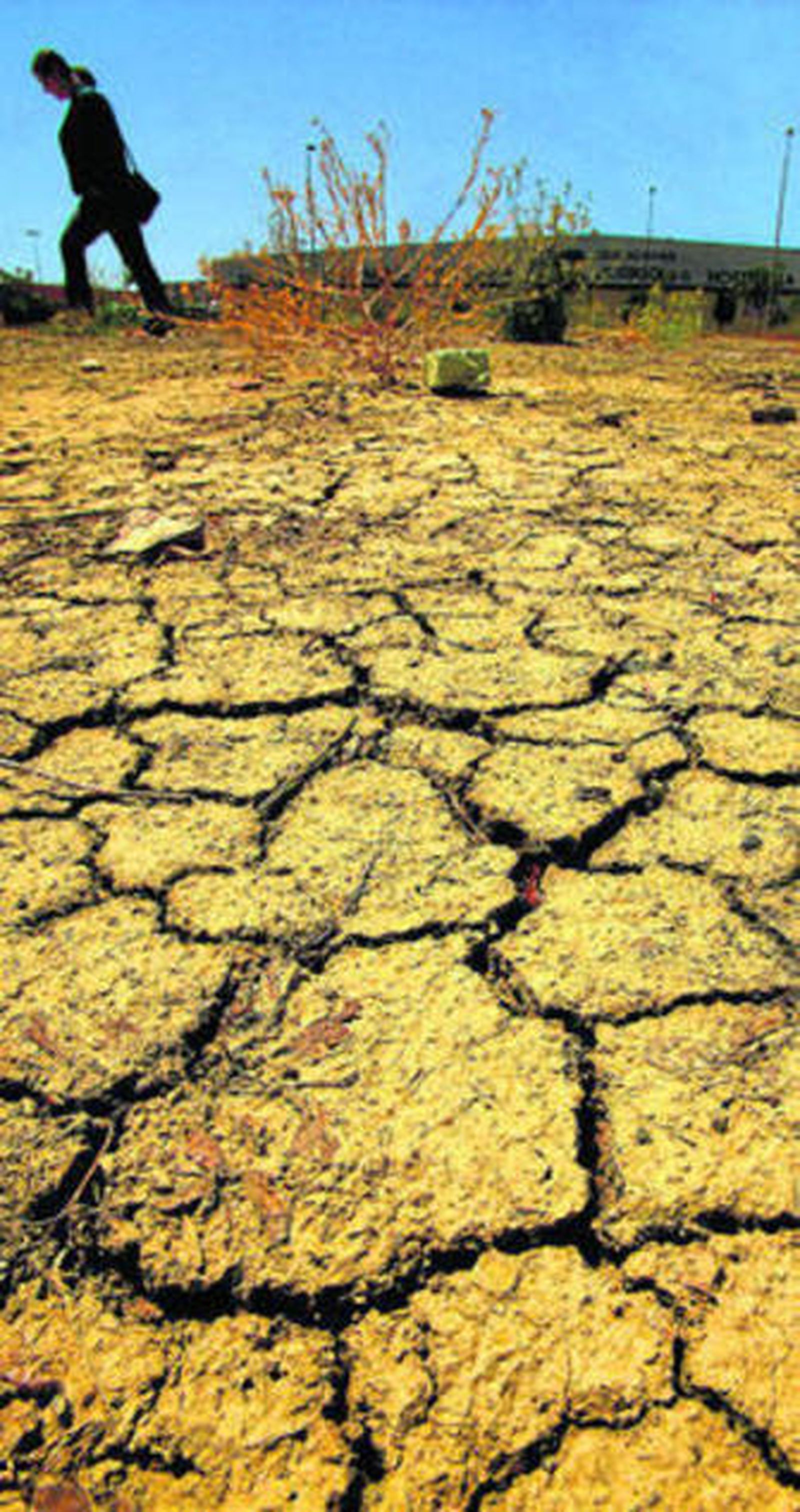 Paraje afectado por la falta de agua.