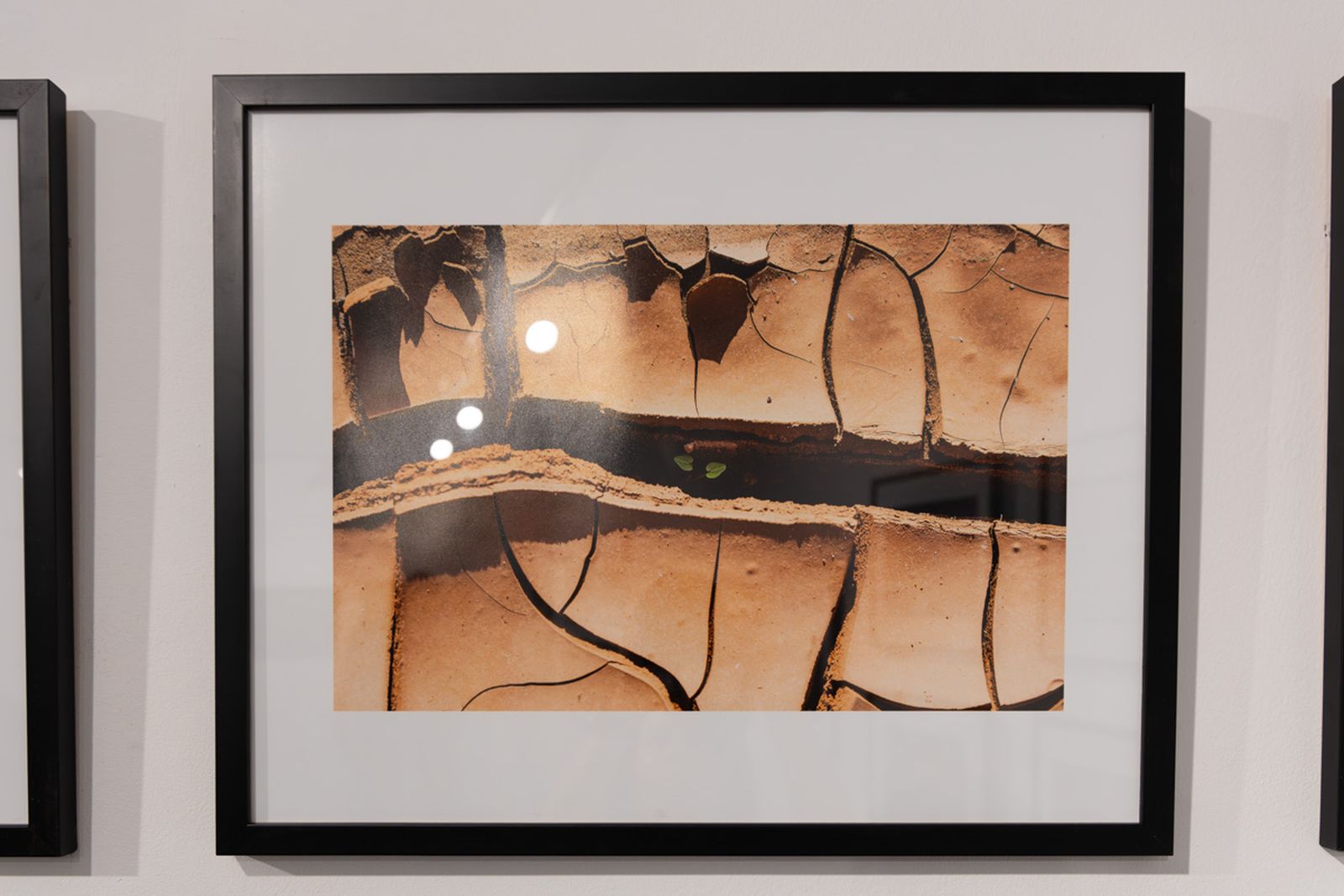 Exposición La Tierra, corazón de la vida, en imágenes