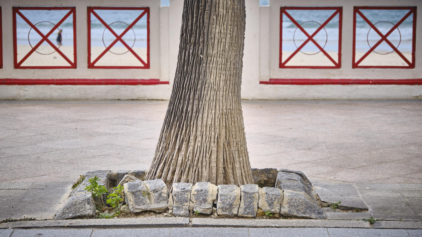 Estado del Paseo Marítimo de Cádiz.