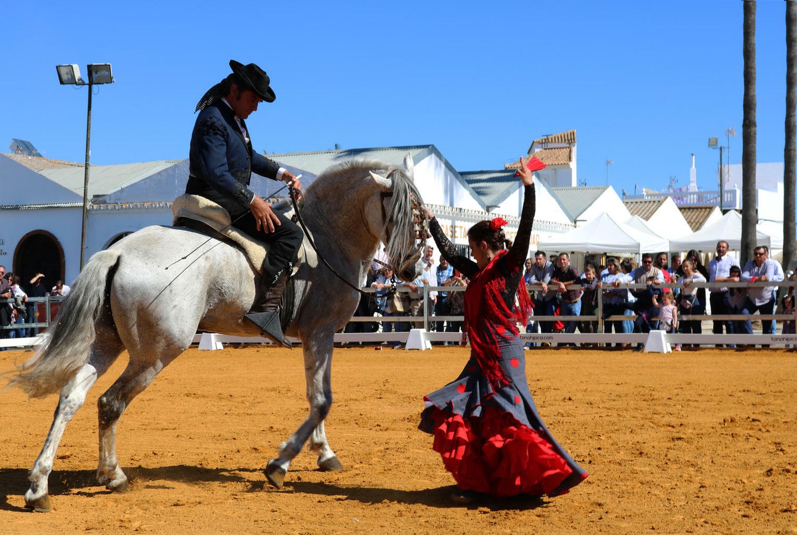 Uno de los espectáculos ecuestres.