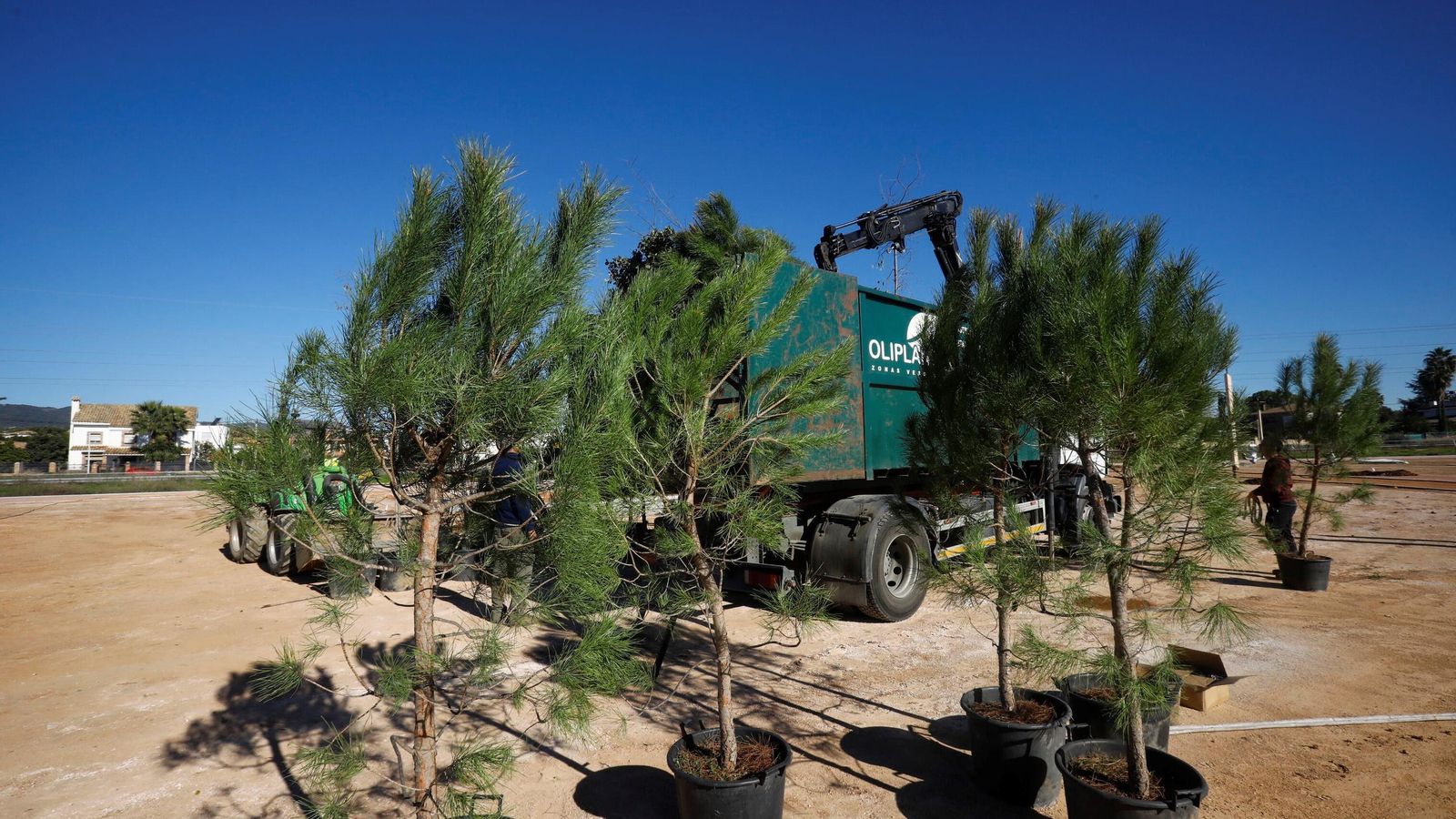 Plantación de árboles en el parque de la Arruzafilla