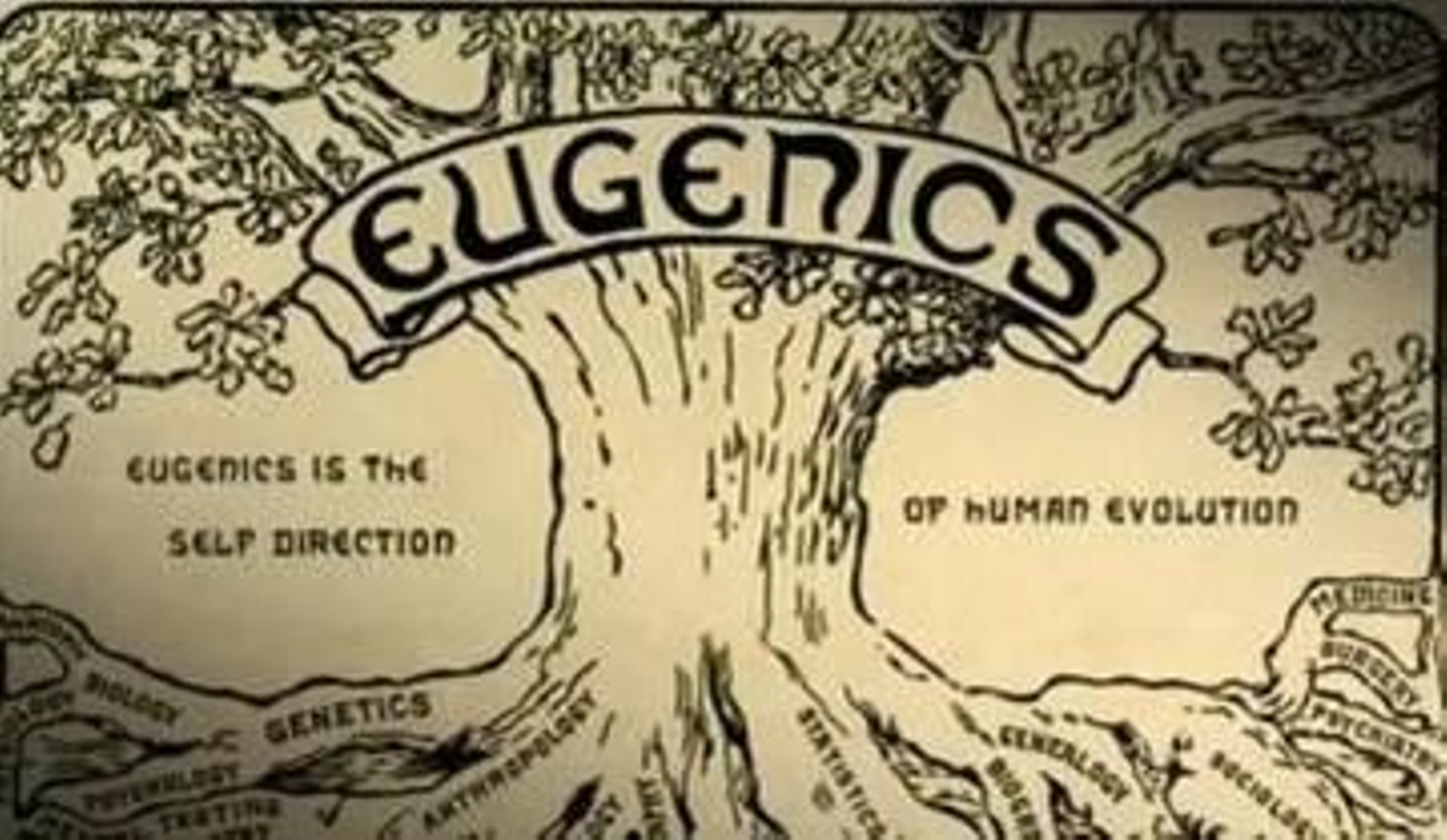 El árbol que anunciaba el segundo congreso del movimiento germano la eugenesia, en 1921.