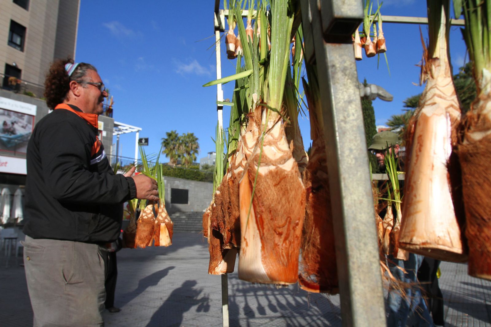 La procesión de San Sebastian en Imágenes.