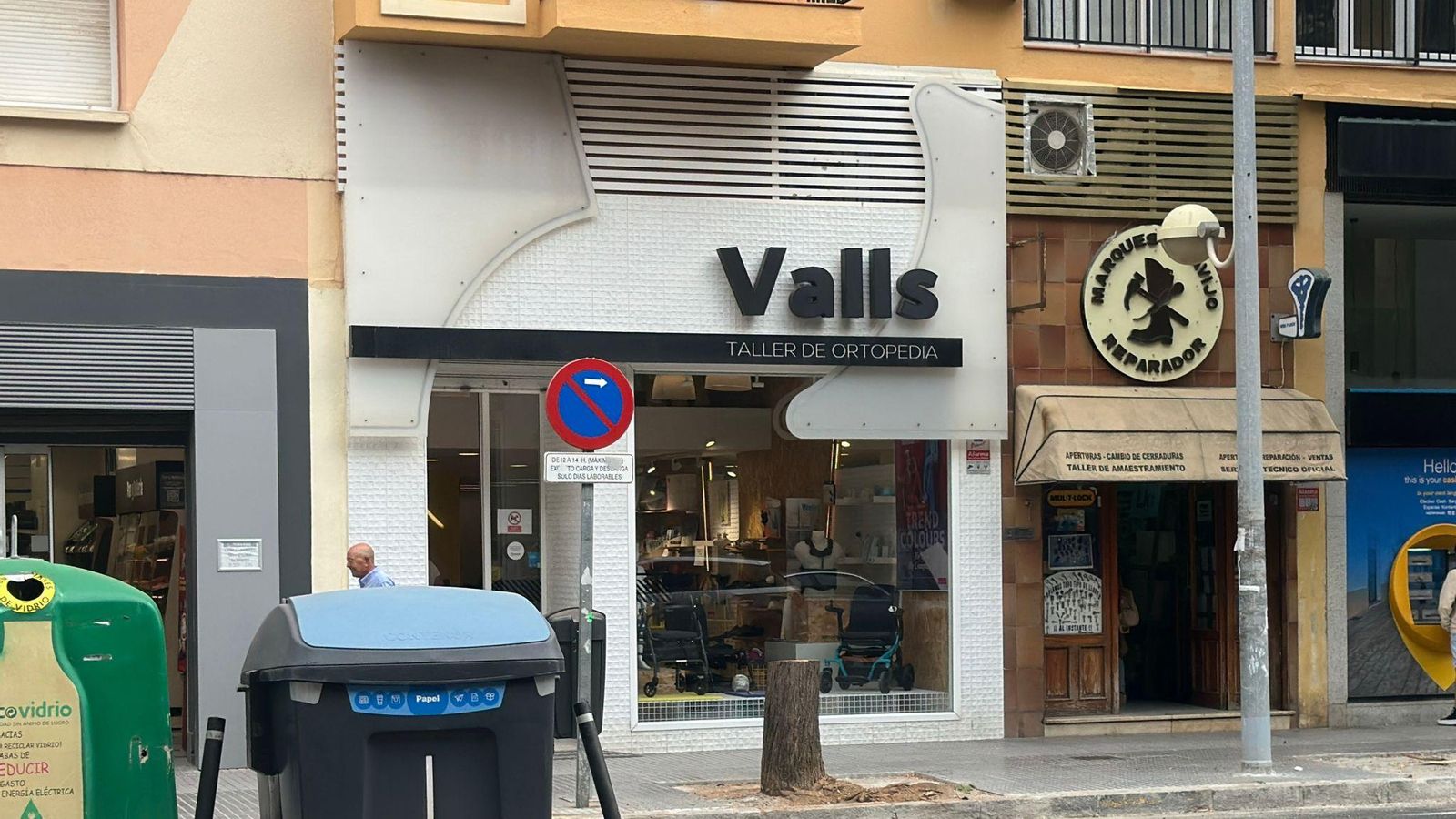 El tercero de los tocones de los árboles talados.