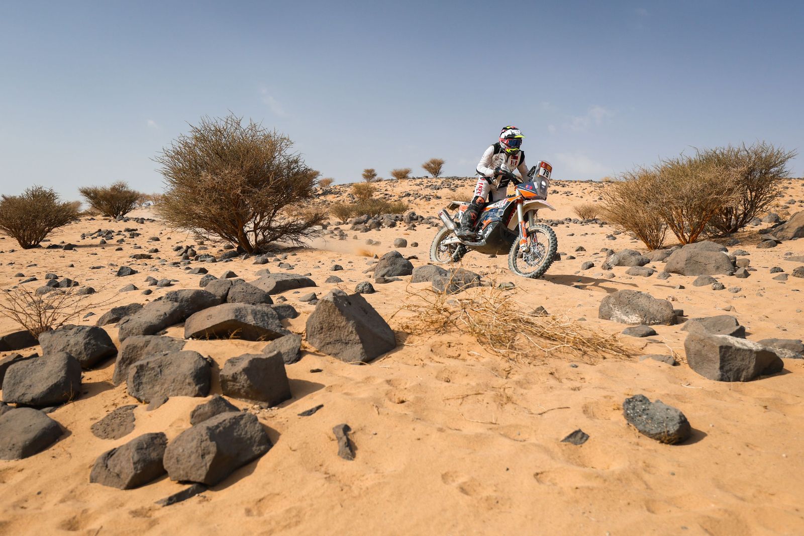 Las mejores fotos del Rally Dakar | undécima etapa