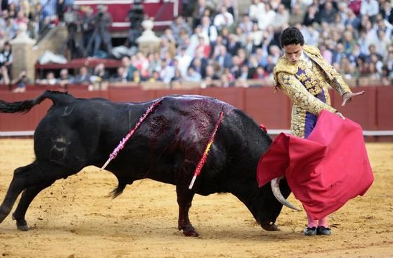 Oliva Soto fue el triunfador de la tarde tras cortar una oreja a su primero.

Foto: Juan Carlos Muñoz